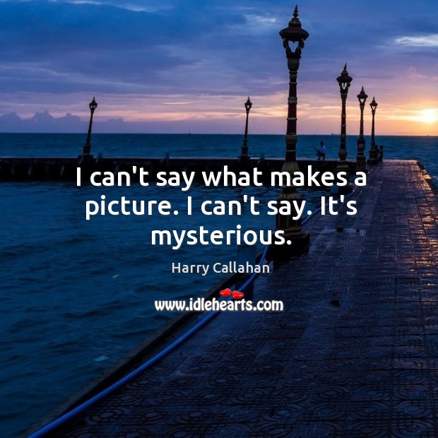 I can’t say what makes a picture. I can’t say. It’s mysterious. Harry Callahan Picture Quote