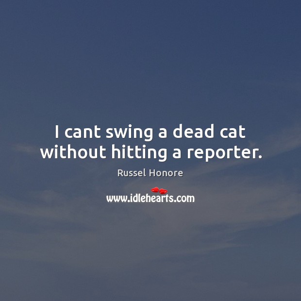 I cant swing a dead cat without hitting a reporter. Russel Honore Picture Quote