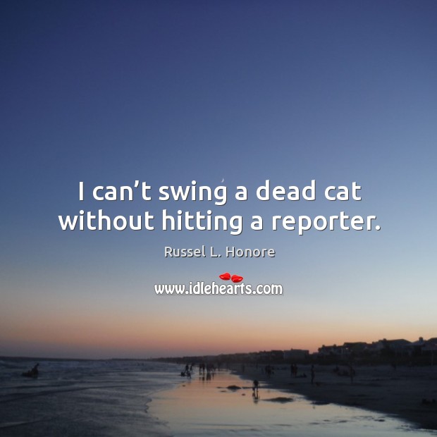 I can’t swing a dead cat without hitting a reporter. Image