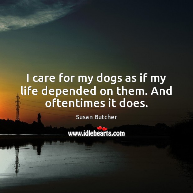 I care for my dogs as if my life depended on them. And oftentimes it does. Susan Butcher Picture Quote