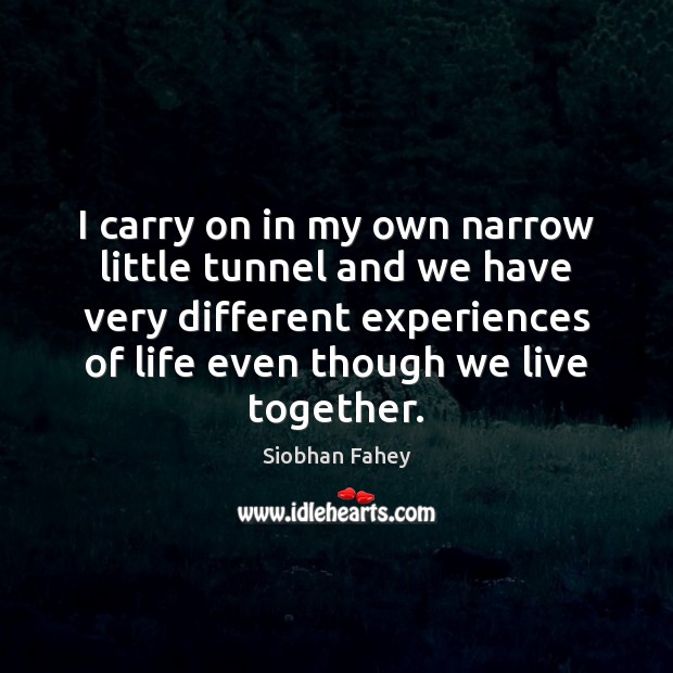 I carry on in my own narrow little tunnel and we have Siobhan Fahey Picture Quote