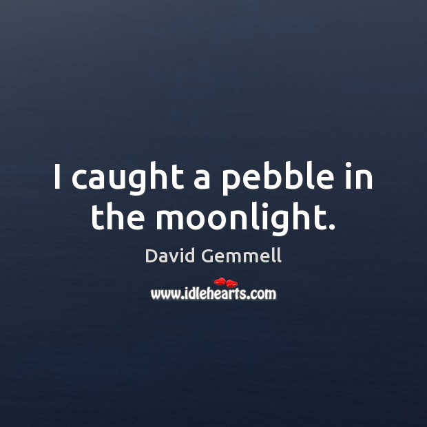 I caught a pebble in the moonlight. David Gemmell Picture Quote