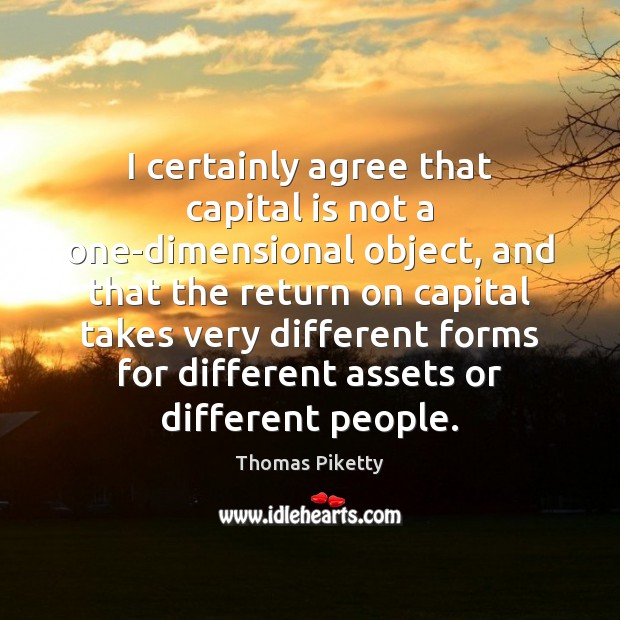 I certainly agree that capital is not a one-dimensional object, and that Thomas Piketty Picture Quote