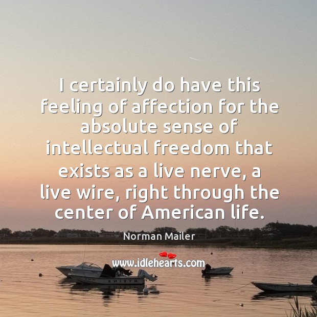 I certainly do have this feeling of affection for the absolute sense Norman Mailer Picture Quote