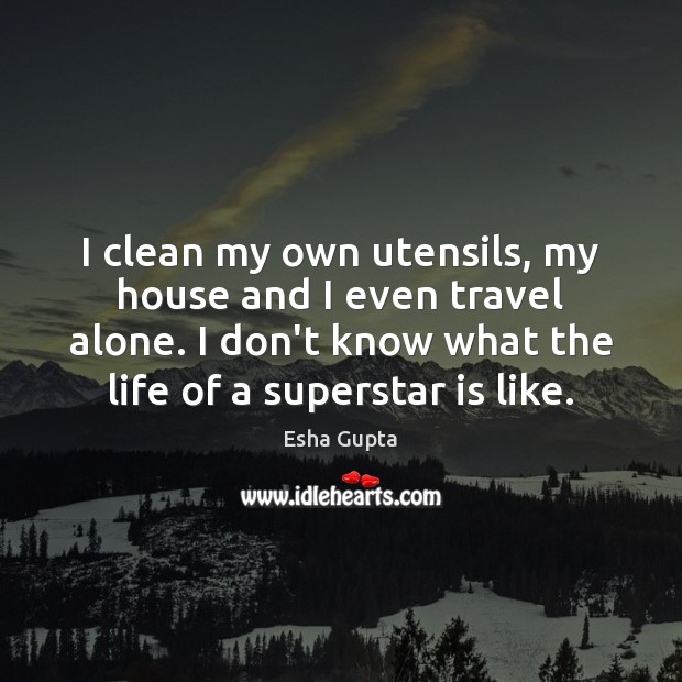 I clean my own utensils, my house and I even travel alone. Esha Gupta Picture Quote