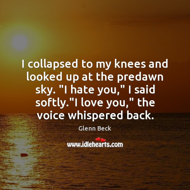 I collapsed to my knees and looked up at the predawn sky. “ I Love You Quotes Image
