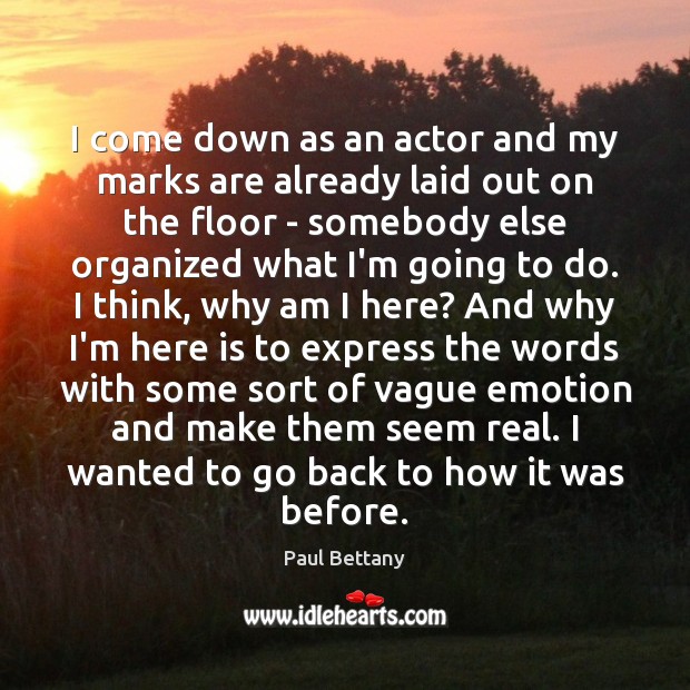 I come down as an actor and my marks are already laid Paul Bettany Picture Quote