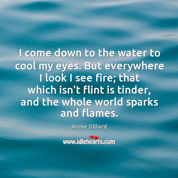 I come down to the water to cool my eyes. But everywhere Annie Dillard Picture Quote