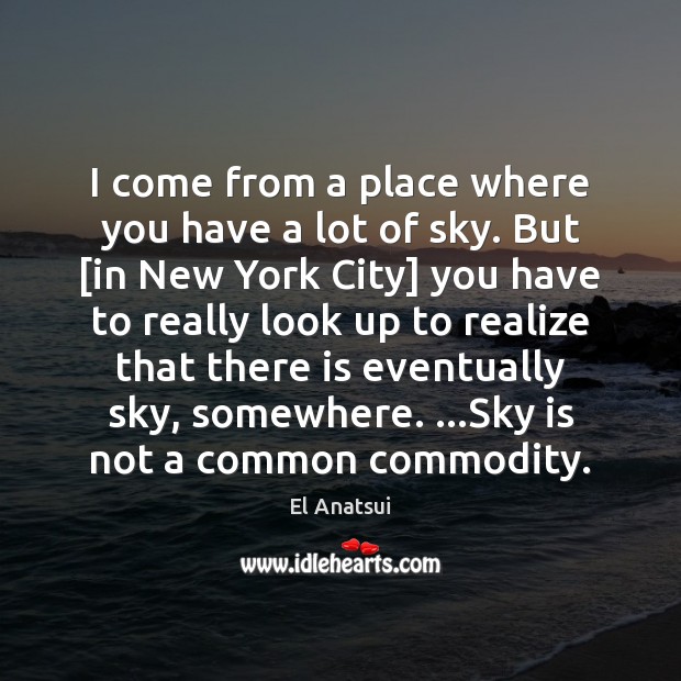 I come from a place where you have a lot of sky. El Anatsui Picture Quote