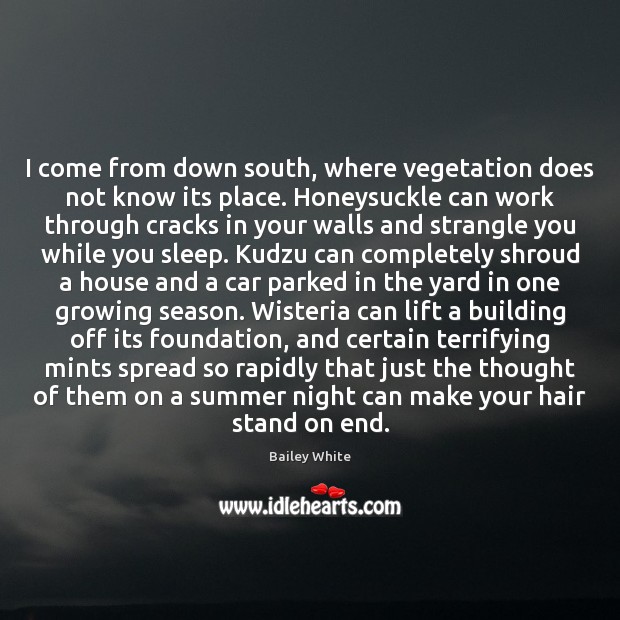 I come from down south, where vegetation does not know its place. Image