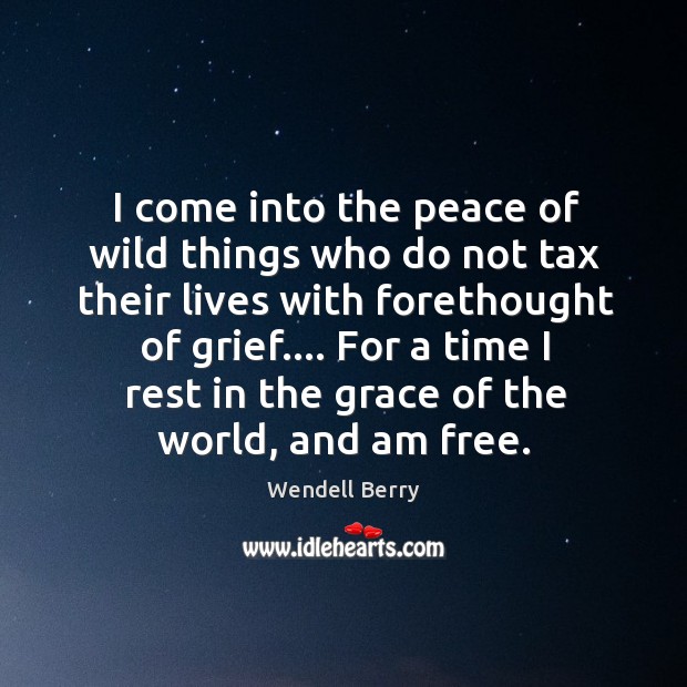I come into the peace of wild things who do not tax Image