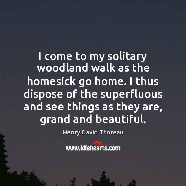 I come to my solitary woodland walk as the homesick go home. Henry David Thoreau Picture Quote