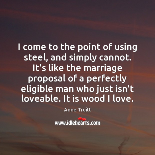 I come to the point of using steel, and simply cannot. It’s Anne Truitt Picture Quote