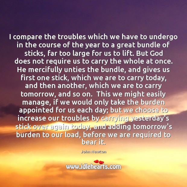 I compare the troubles which we have to undergo in the course John Newton Picture Quote