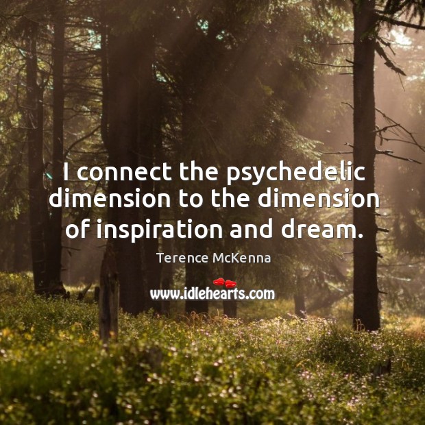 I connect the psychedelic dimension to the dimension of inspiration and dream. Image
