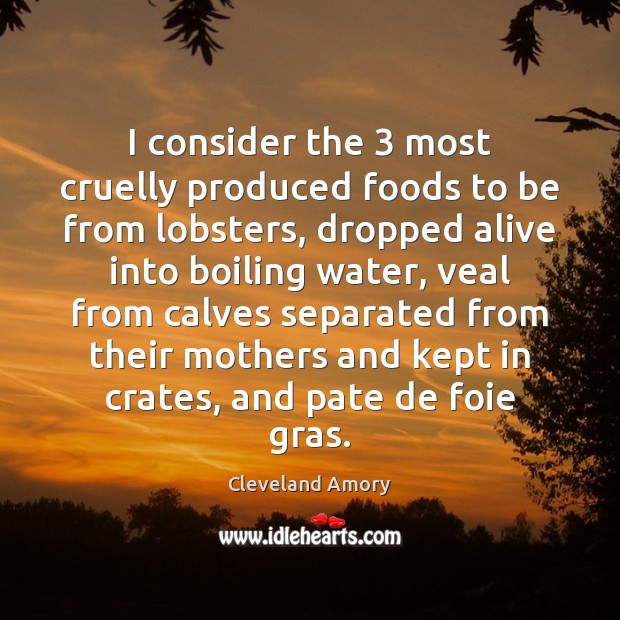 I consider the 3 most cruelly produced foods to be from lobsters, dropped Cleveland Amory Picture Quote