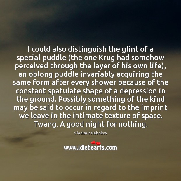 I could also distinguish the glint of a special puddle (the one Vladimir Nabokov Picture Quote