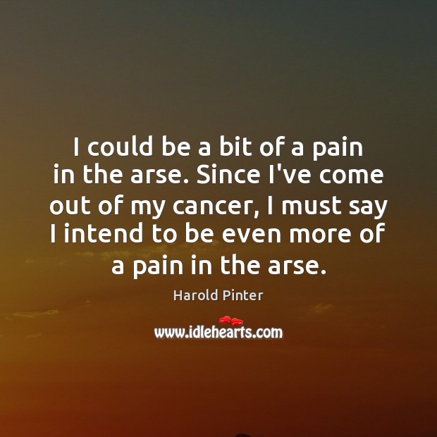 I could be a bit of a pain in the arse. Since Harold Pinter Picture Quote