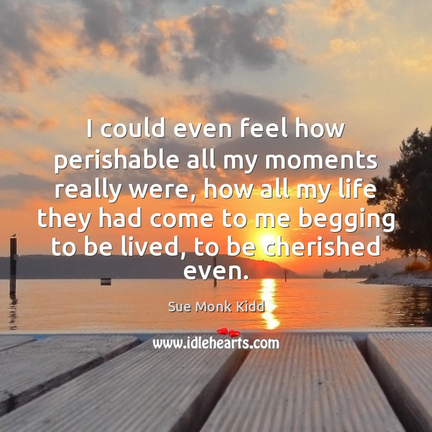 I could even feel how perishable all my moments really were, how Sue Monk Kidd Picture Quote