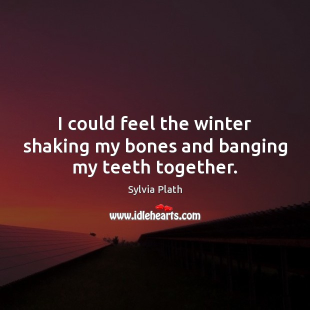 I could feel the winter shaking my bones and banging my teeth together. Sylvia Plath Picture Quote