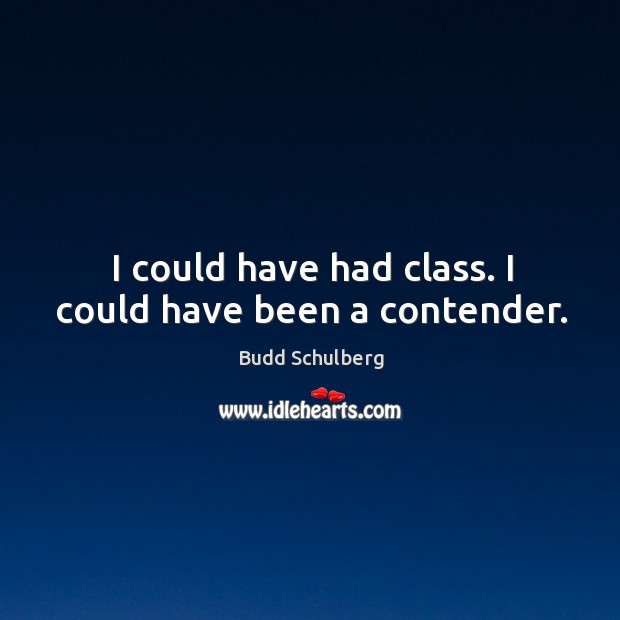 I could have had class. I could have been a contender. Budd Schulberg Picture Quote