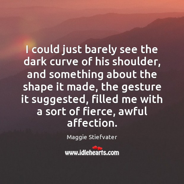 I could just barely see the dark curve of his shoulder, and Maggie Stiefvater Picture Quote