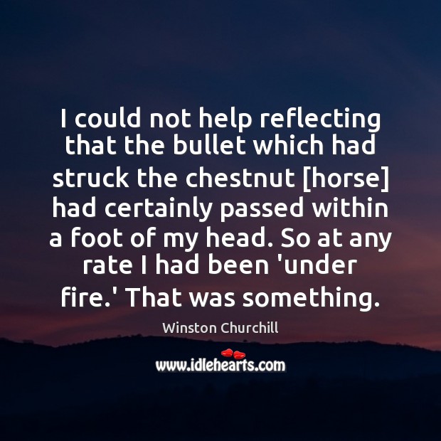 I could not help reflecting that the bullet which had struck the Winston Churchill Picture Quote