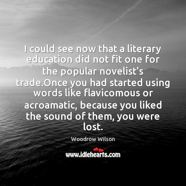 I could see now that a literary education did not fit one Woodrow Wilson Picture Quote