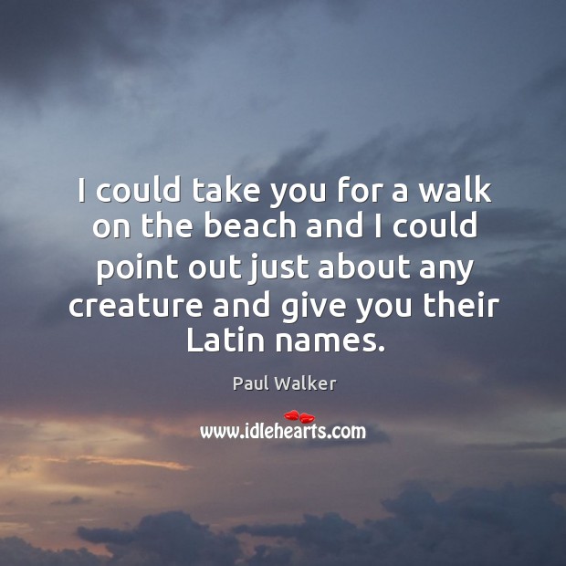 I could take you for a walk on the beach and I could point out just about any creature and give you their latin names. Image