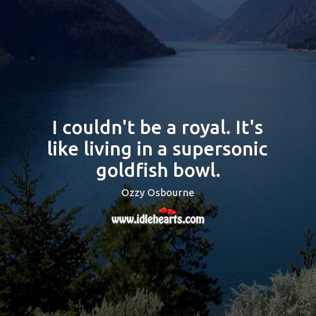 I couldn’t be a royal. It’s like living in a supersonic goldfish bowl. Image