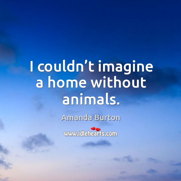 I couldn’t imagine a home without animals. Amanda Burton Picture Quote