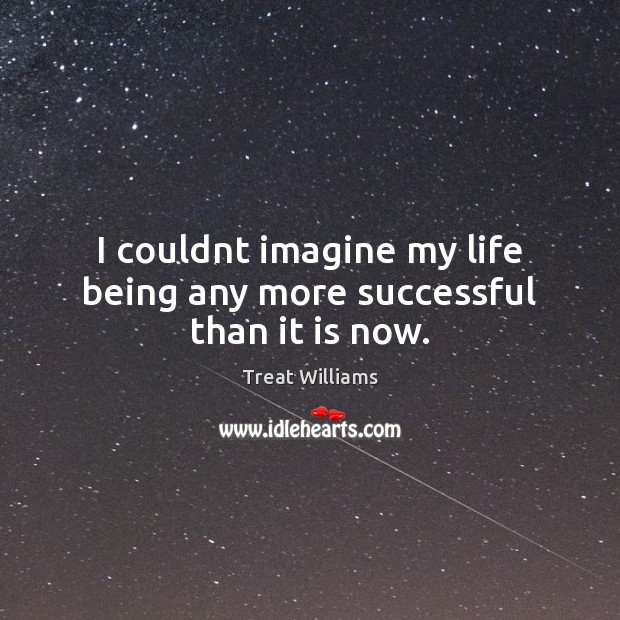 I couldnt imagine my life being any more successful than it is now. Treat Williams Picture Quote