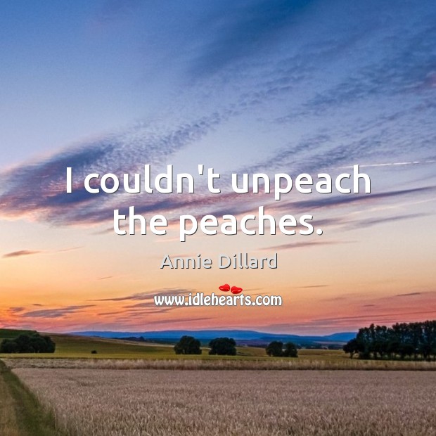 I couldn’t unpeach the peaches. Annie Dillard Picture Quote