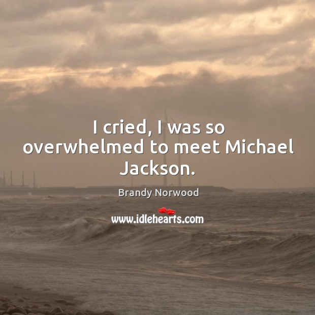 I cried, I was so overwhelmed to meet michael jackson. Brandy Norwood Picture Quote