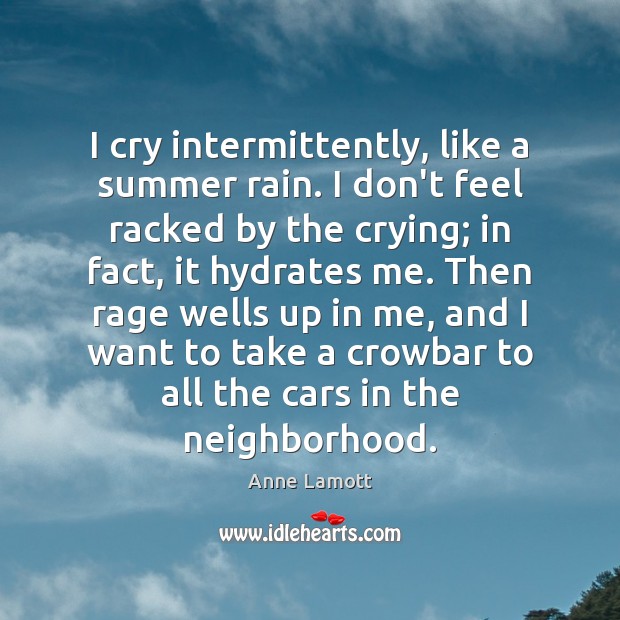 I cry intermittently, like a summer rain. I don’t feel racked by Anne Lamott Picture Quote