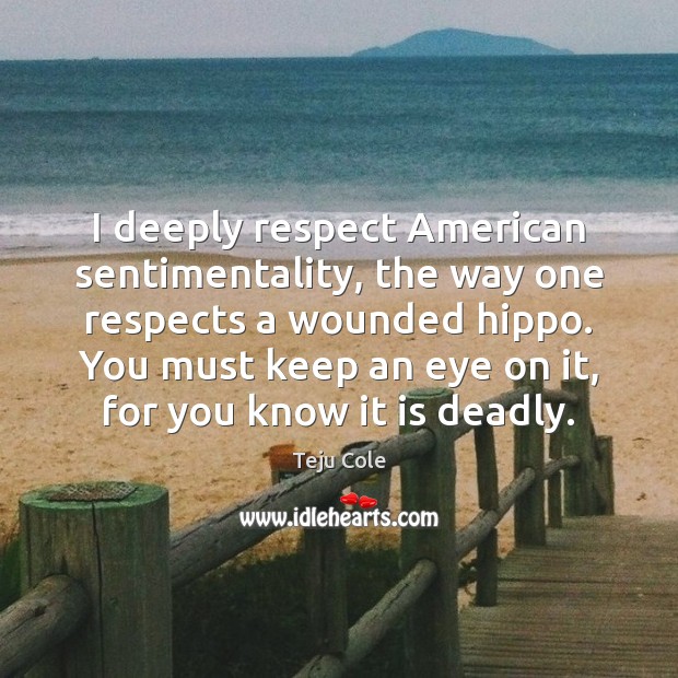 I deeply respect American sentimentality, the way one respects a wounded hippo. Teju Cole Picture Quote