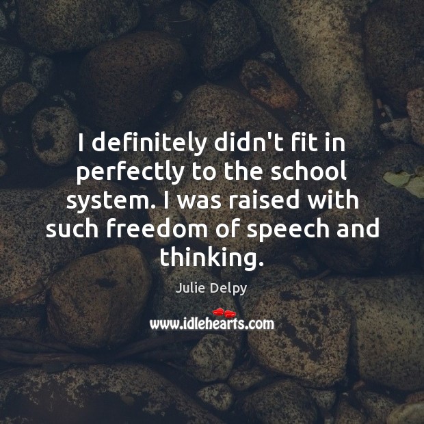 I definitely didn’t fit in perfectly to the school system. I was Julie Delpy Picture Quote