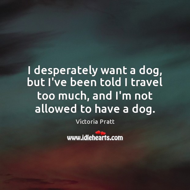 I desperately want a dog, but I’ve been told I travel too Victoria Pratt Picture Quote
