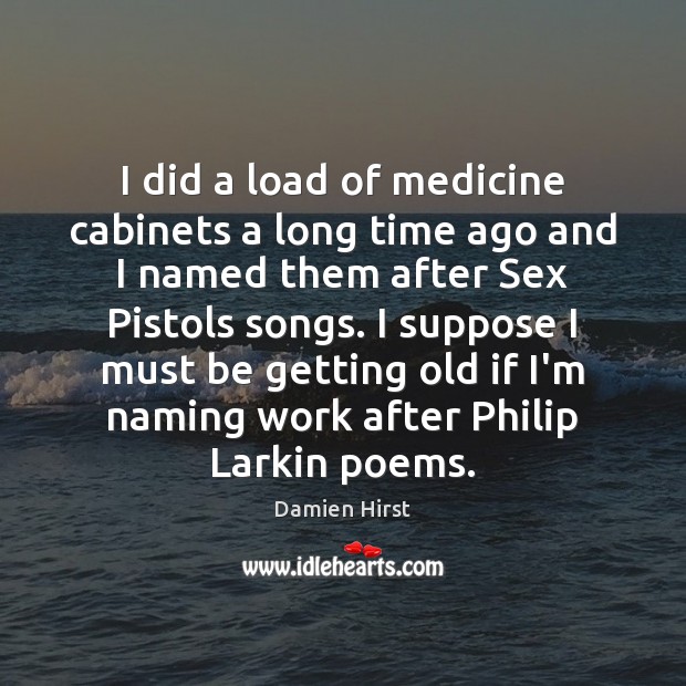 I did a load of medicine cabinets a long time ago and Damien Hirst Picture Quote
