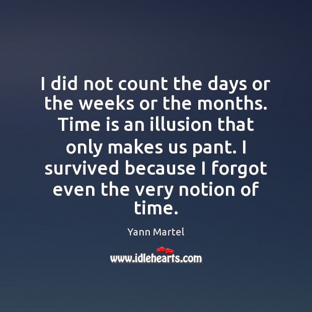 I did not count the days or the weeks or the months. Yann Martel Picture Quote