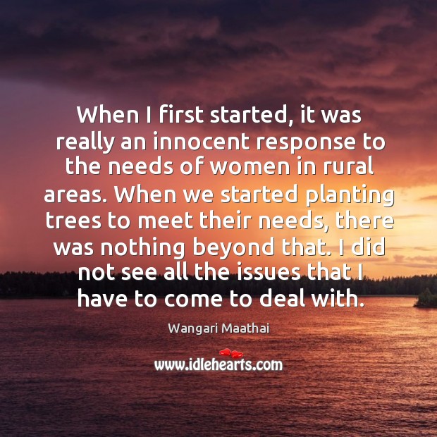 I did not see all the issues that I have to come to deal with. Wangari Maathai Picture Quote