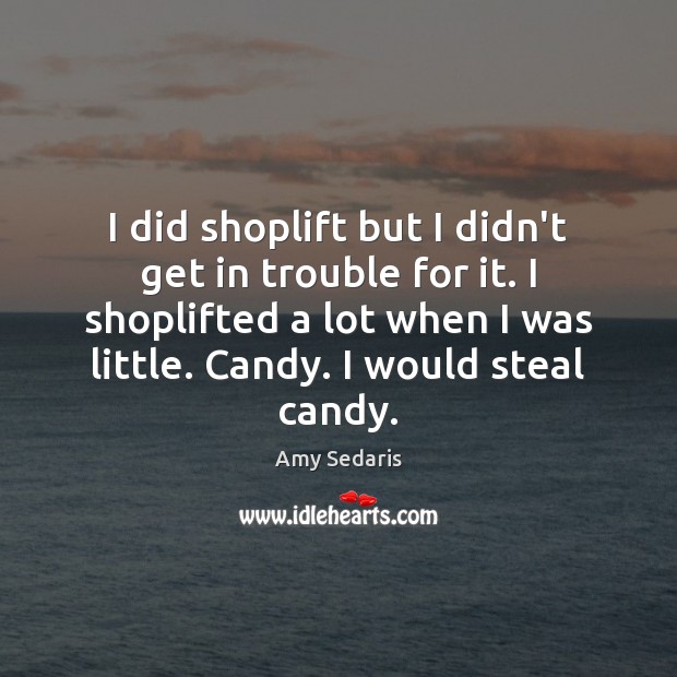 I did shoplift but I didn’t get in trouble for it. I Amy Sedaris Picture Quote