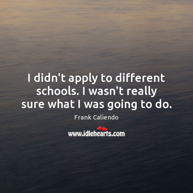 I didn’t apply to different schools. I wasn’t really sure what I was going to do. Frank Caliendo Picture Quote