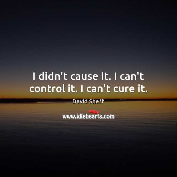 I didn’t cause it. I can’t control it. I can’t cure it. David Sheff Picture Quote