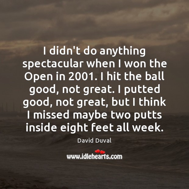 I didn’t do anything spectacular when I won the Open in 2001. I David Duval Picture Quote