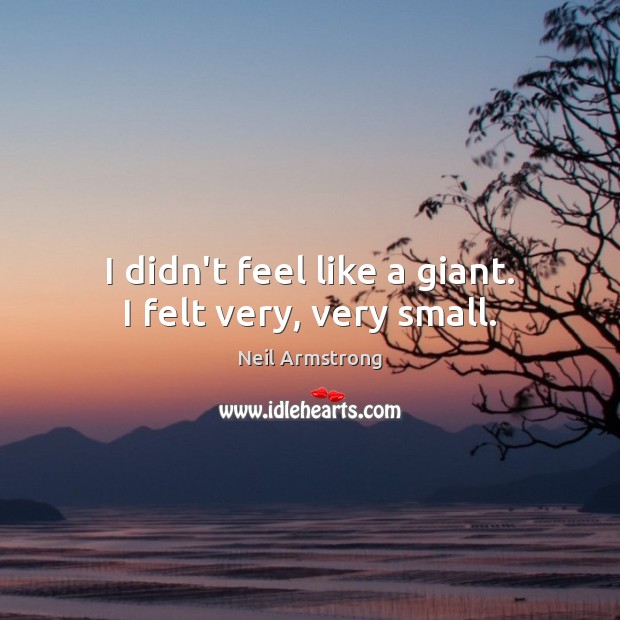 I didn’t feel like a giant. I felt very, very small. Neil Armstrong Picture Quote