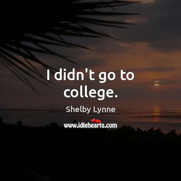 I didn’t go to college. Shelby Lynne Picture Quote