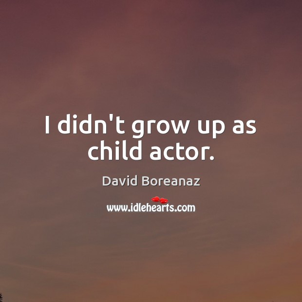 I didn’t grow up as child actor. David Boreanaz Picture Quote