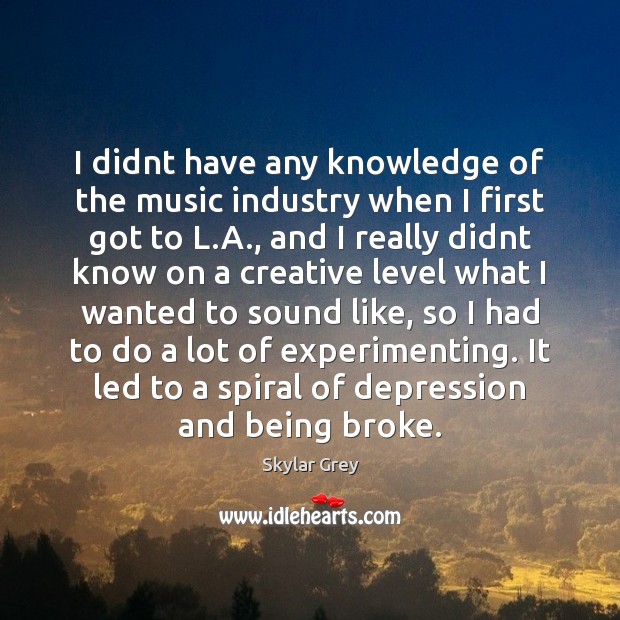I didnt have any knowledge of the music industry when I first Skylar Grey Picture Quote