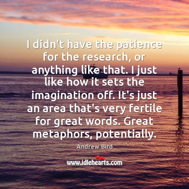 I didn’t have the patience for the research, or anything like that. Andrew Bird Picture Quote